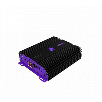 Amplifikat-r-be-LM-2-80