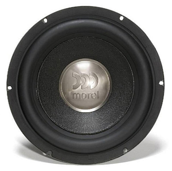 MOREL PRIMO 804
